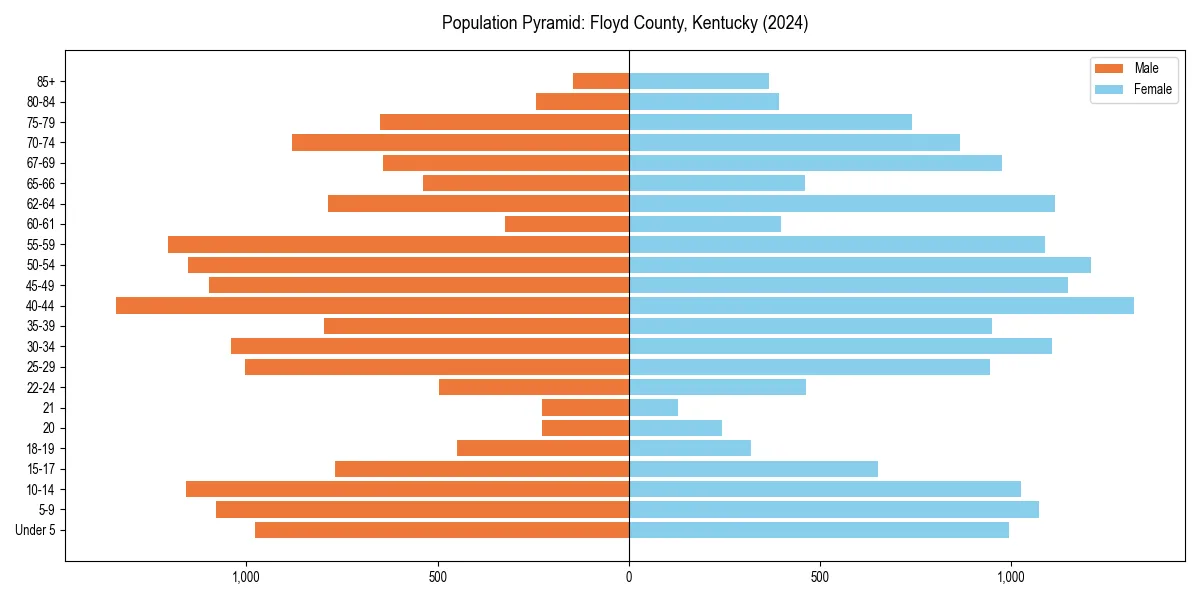 Population pyramid for 