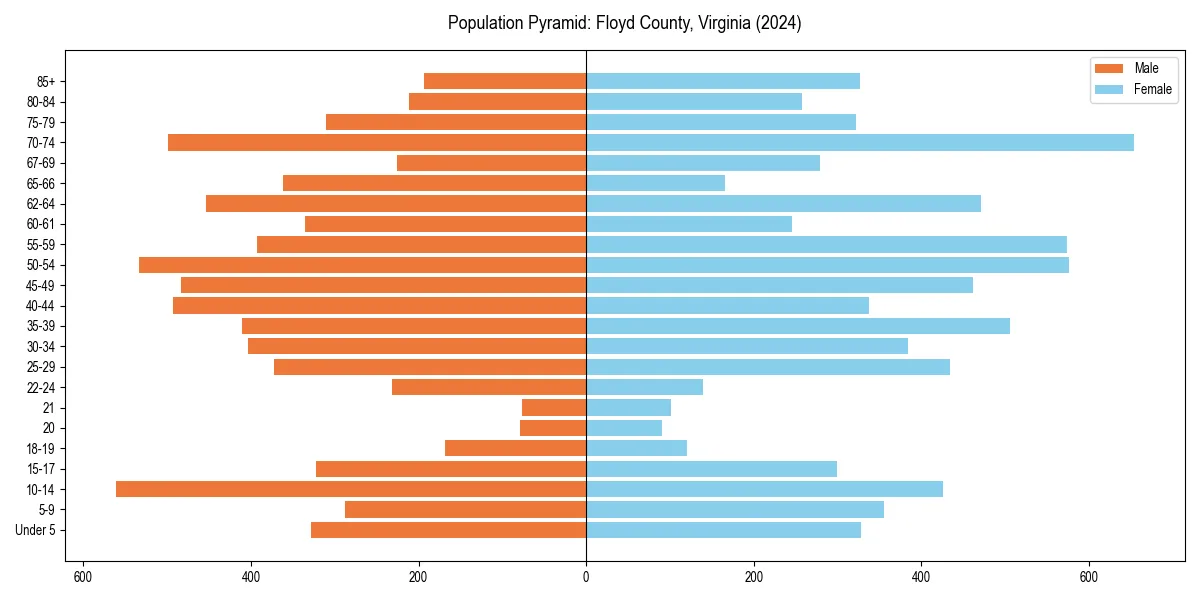 Population pyramid for 