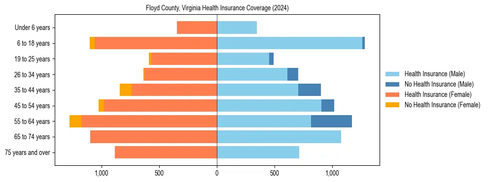 Health insurance pyramid for Floyd County, Virginia