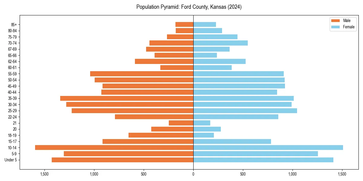 Population pyramid for 
