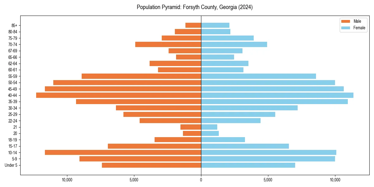 Population pyramid for 