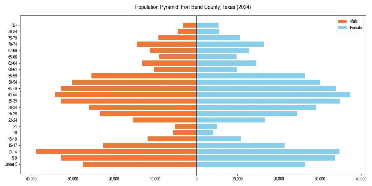 Population pyramid for 