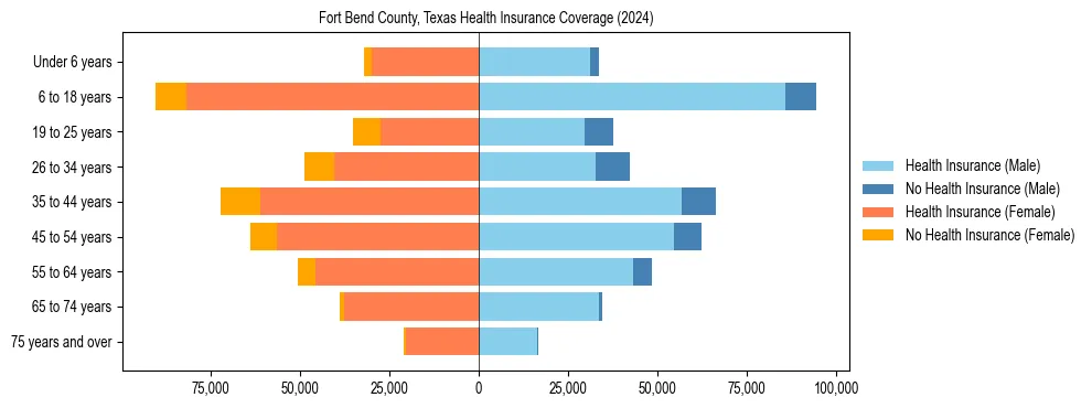 Health insurance pyramid for Fort Bend County, Texas