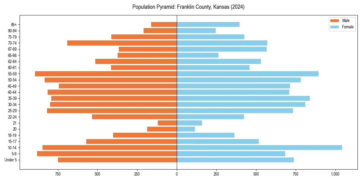 Population pyramid for 