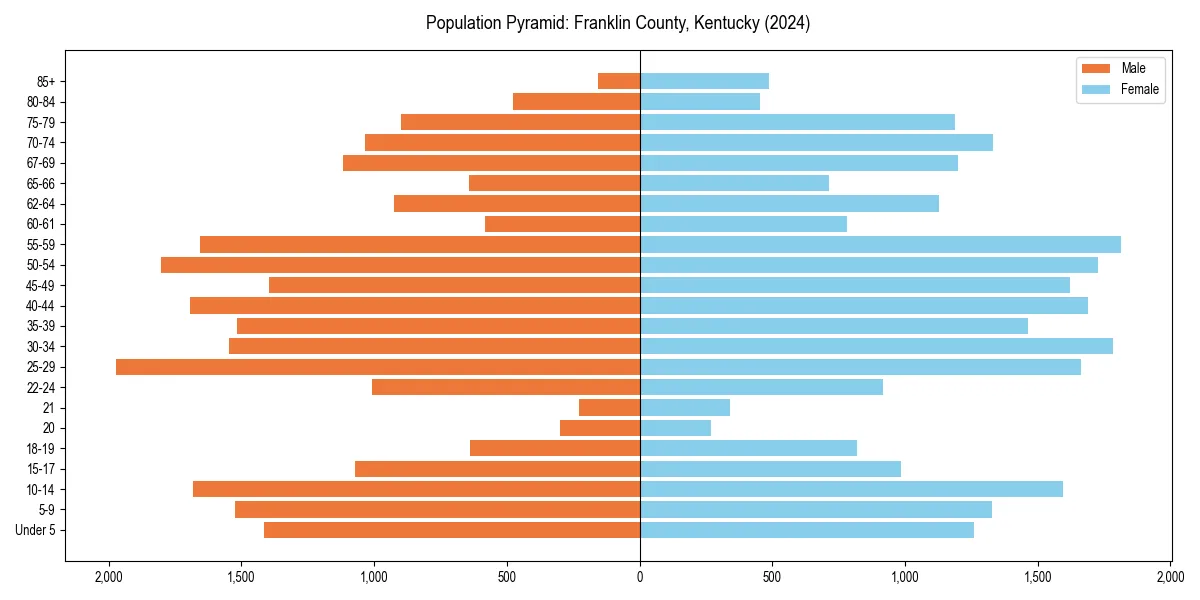 Population pyramid for 