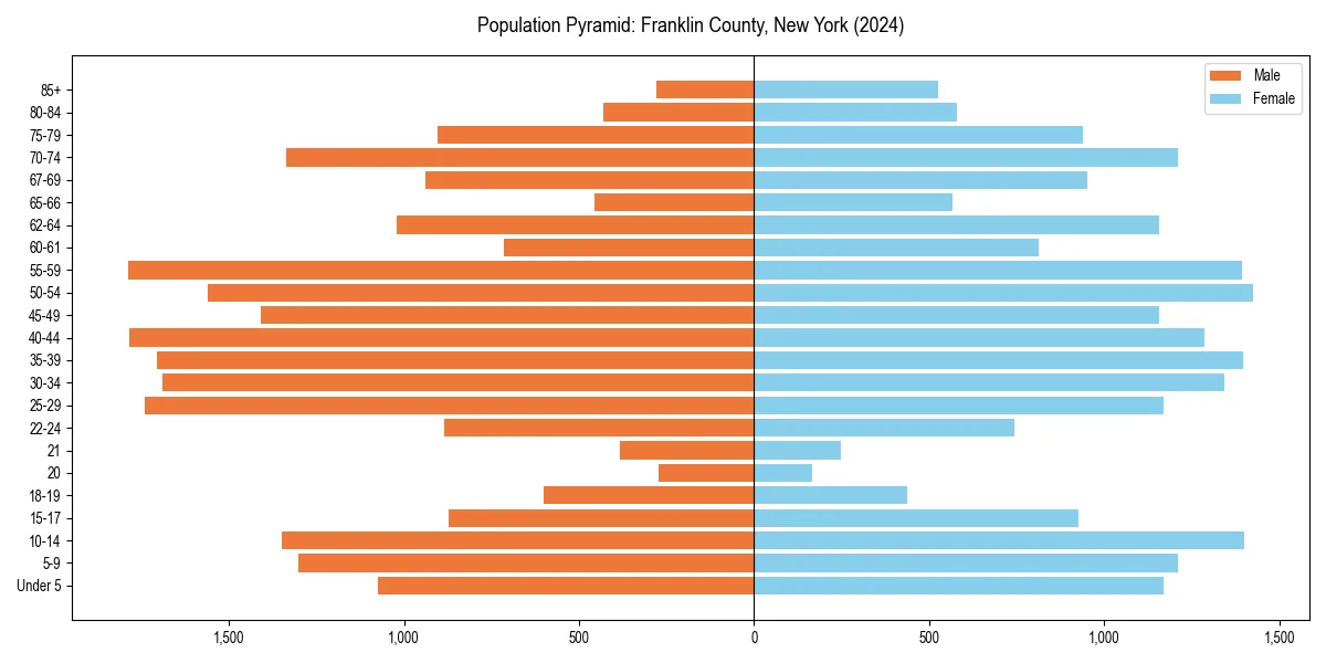 Population pyramid for 