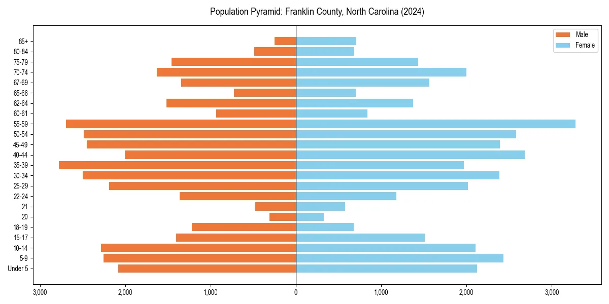 Population pyramid for 