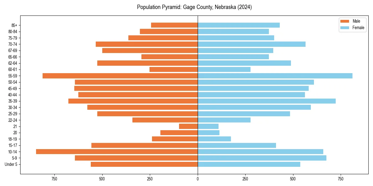 Population pyramid for 