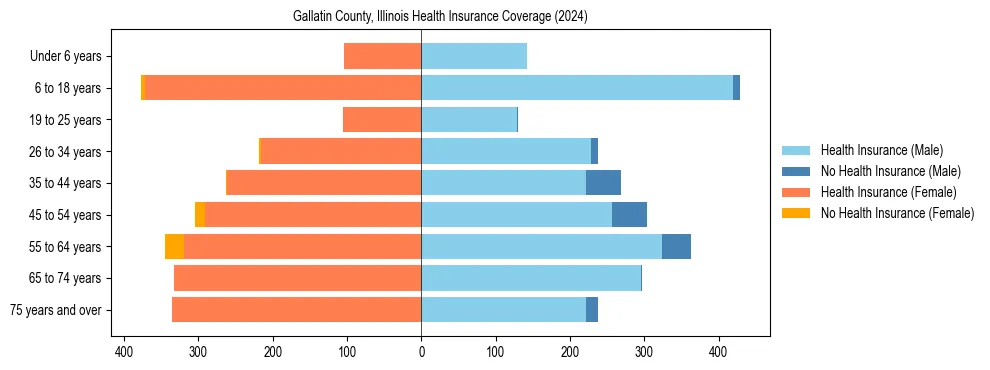 Health insurance pyramid for Gallatin County, Illinois