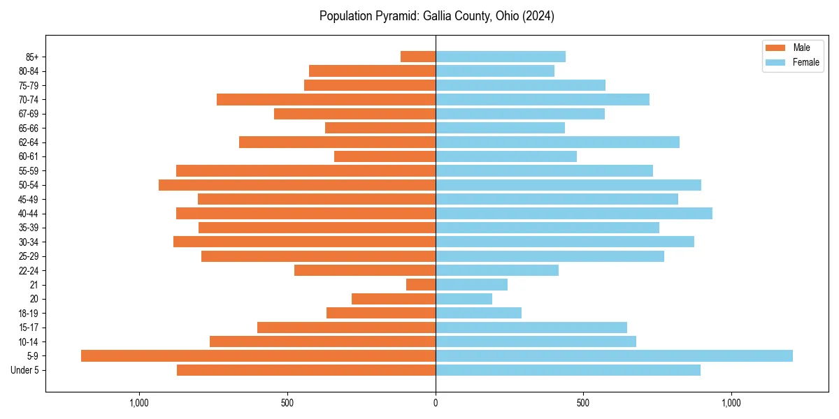 Population pyramid for 