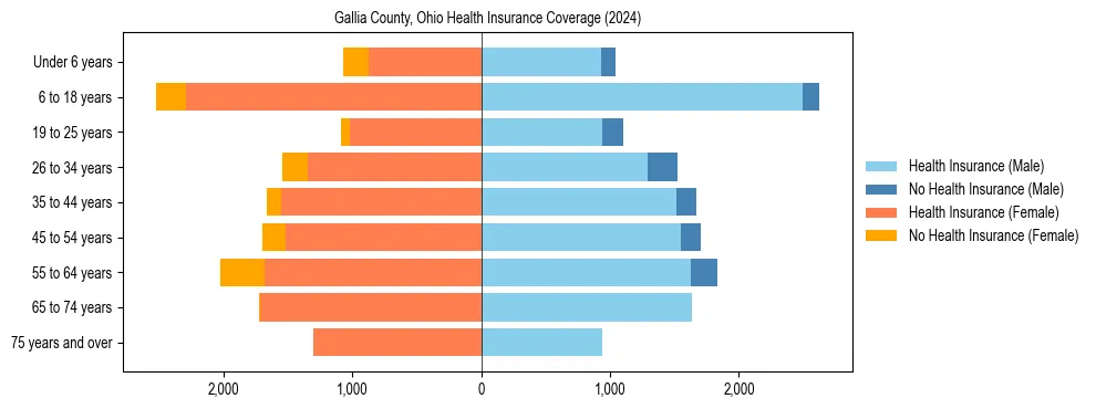 Health insurance pyramid for Gallia County, Ohio