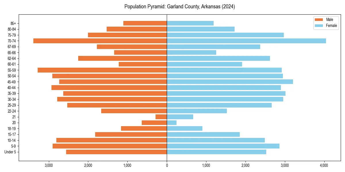 Population pyramid for 
