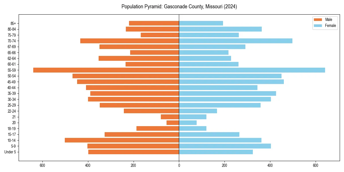 Population pyramid for 