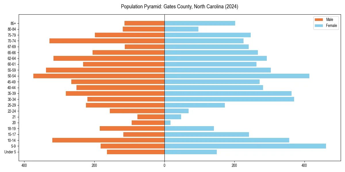 Population pyramid for 
