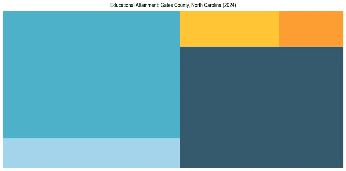 Education Treemap for  in 2024