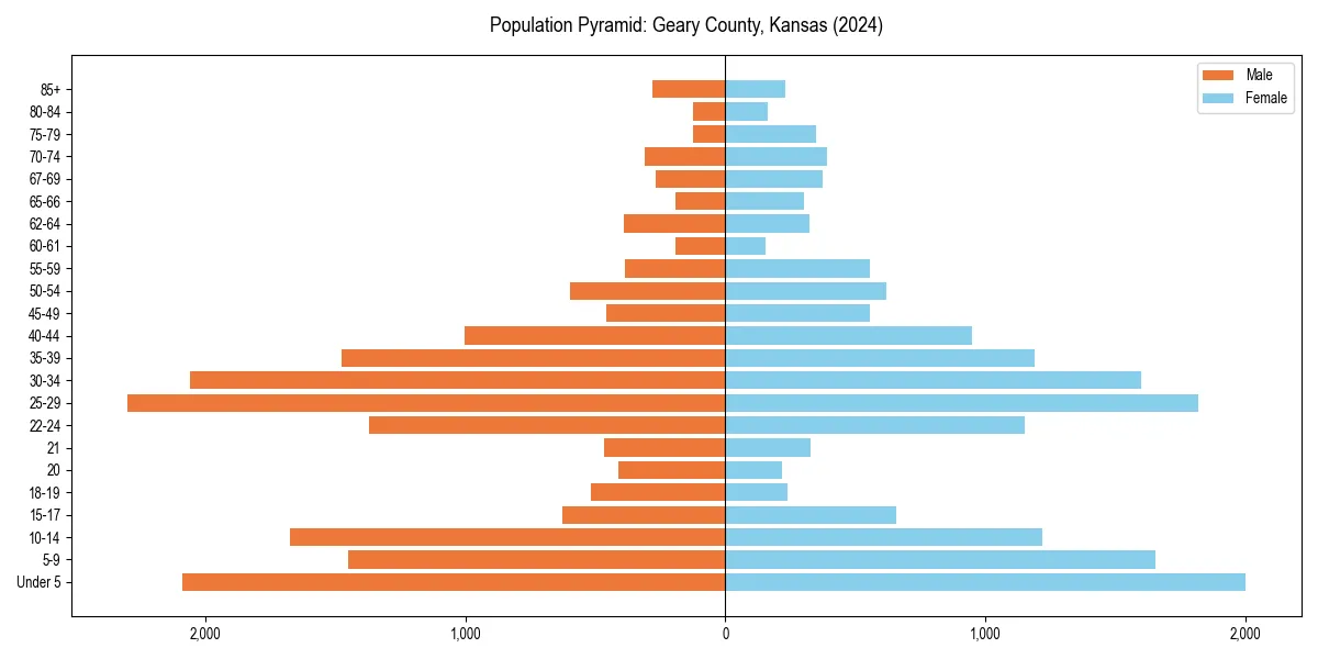 Population pyramid for 