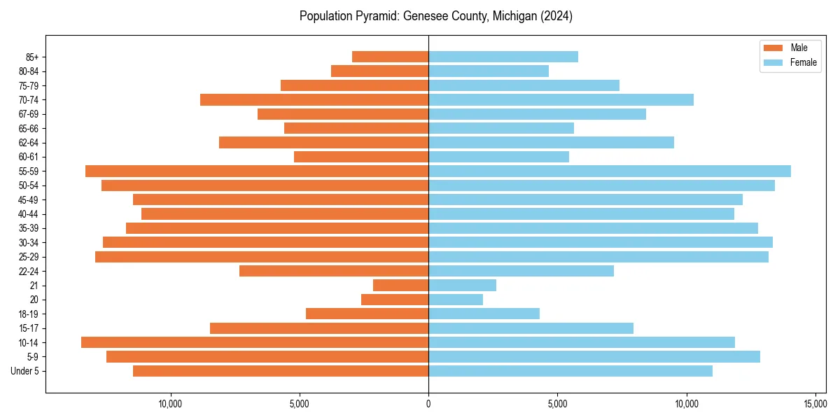 Population pyramid for 