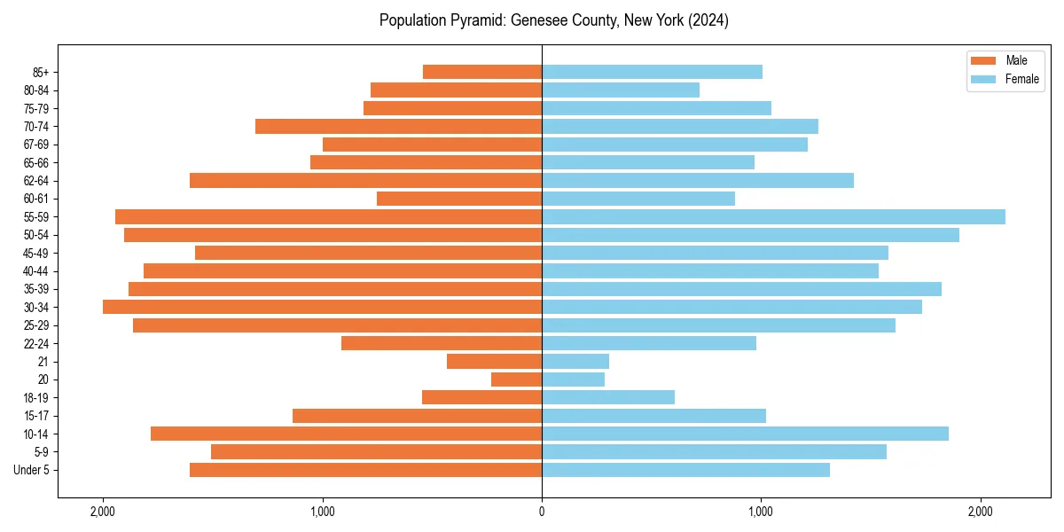Population pyramid for 