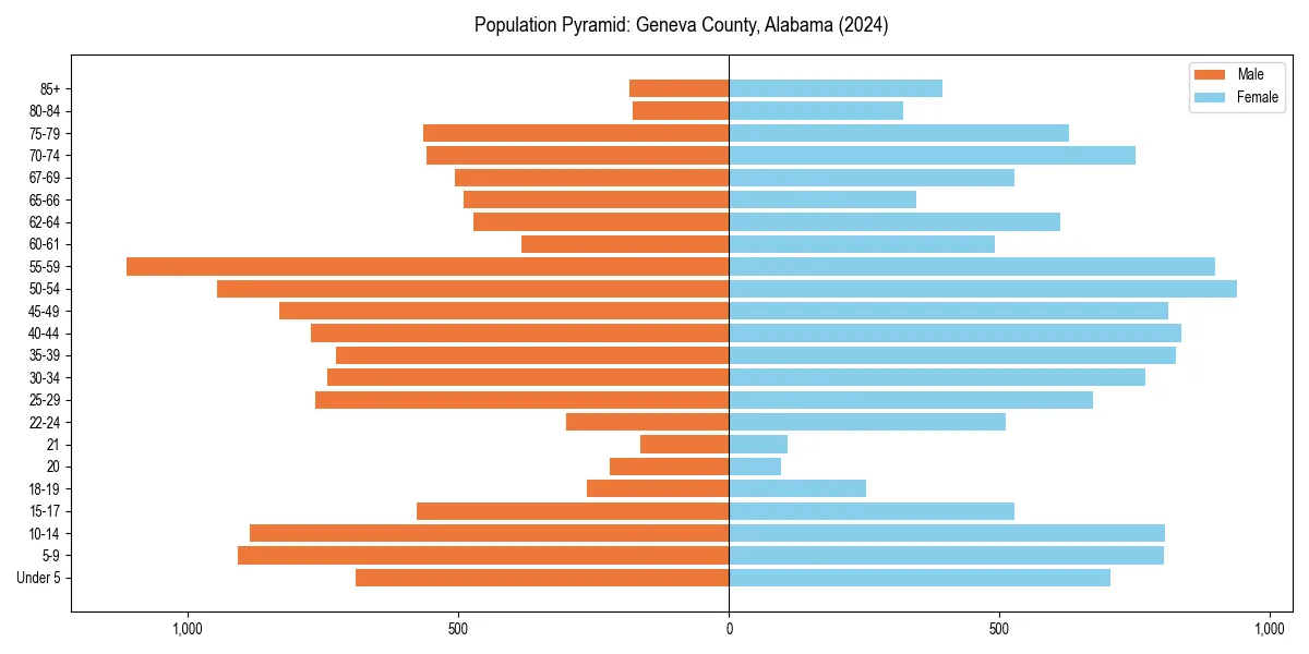 Population pyramid for 