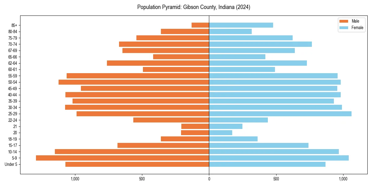 Population pyramid for 