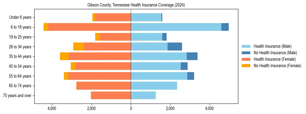 Health insurance pyramid for Gibson County, Tennessee