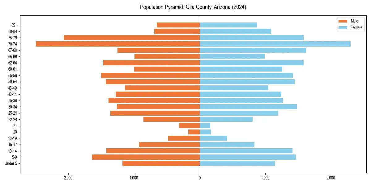 Population pyramid for 