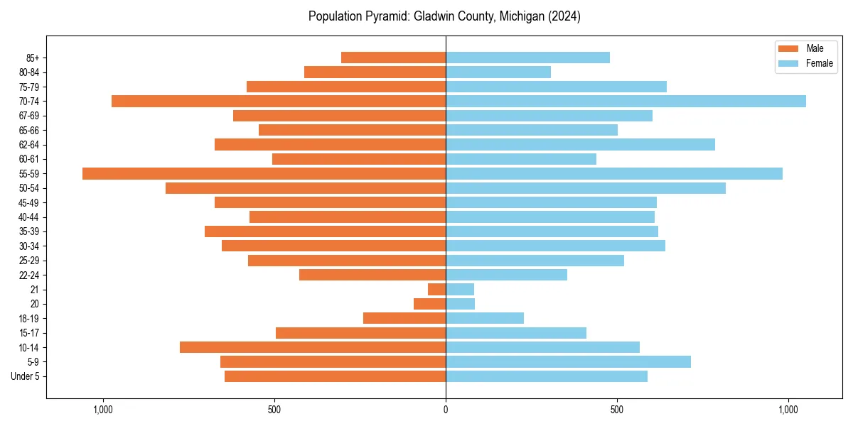 Population pyramid for 