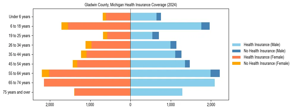 Health insurance pyramid for Gladwin County, Michigan