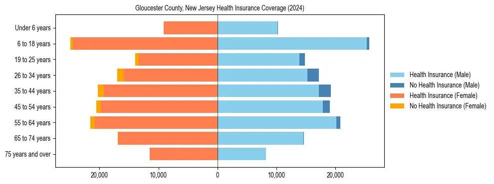 Health insurance pyramid for Gloucester County, New Jersey