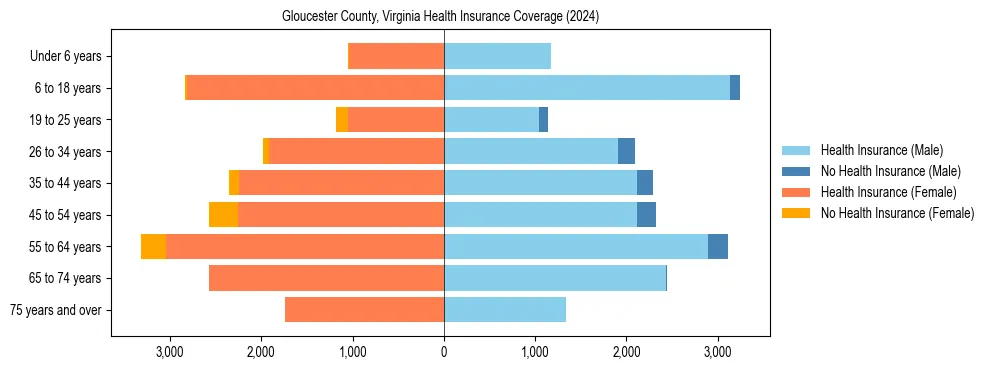 Health insurance pyramid for Gloucester County, Virginia