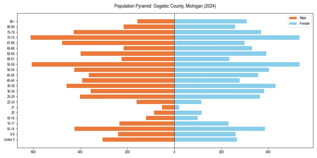 Population pyramid for 