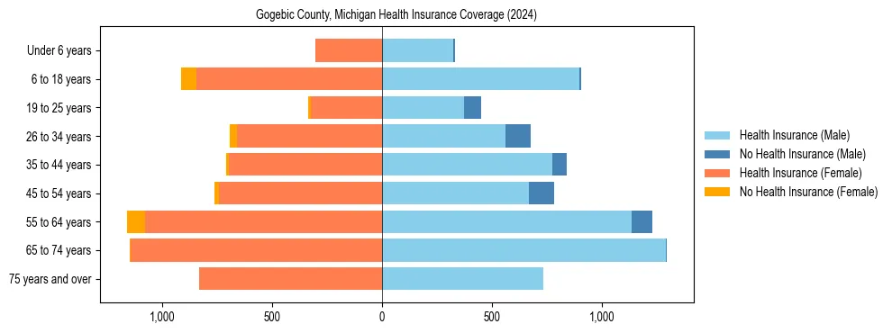 Health insurance pyramid for Gogebic County, Michigan