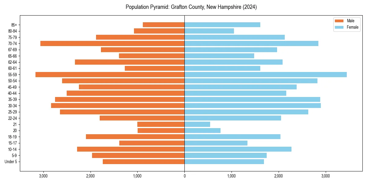 Population pyramid for 