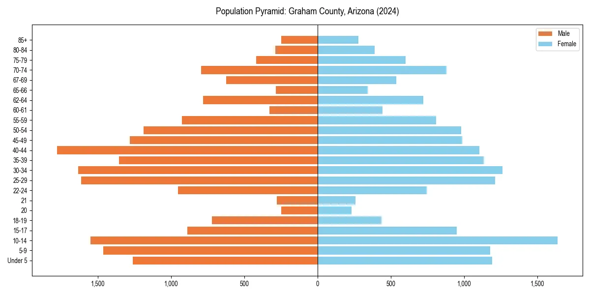 Population pyramid for 