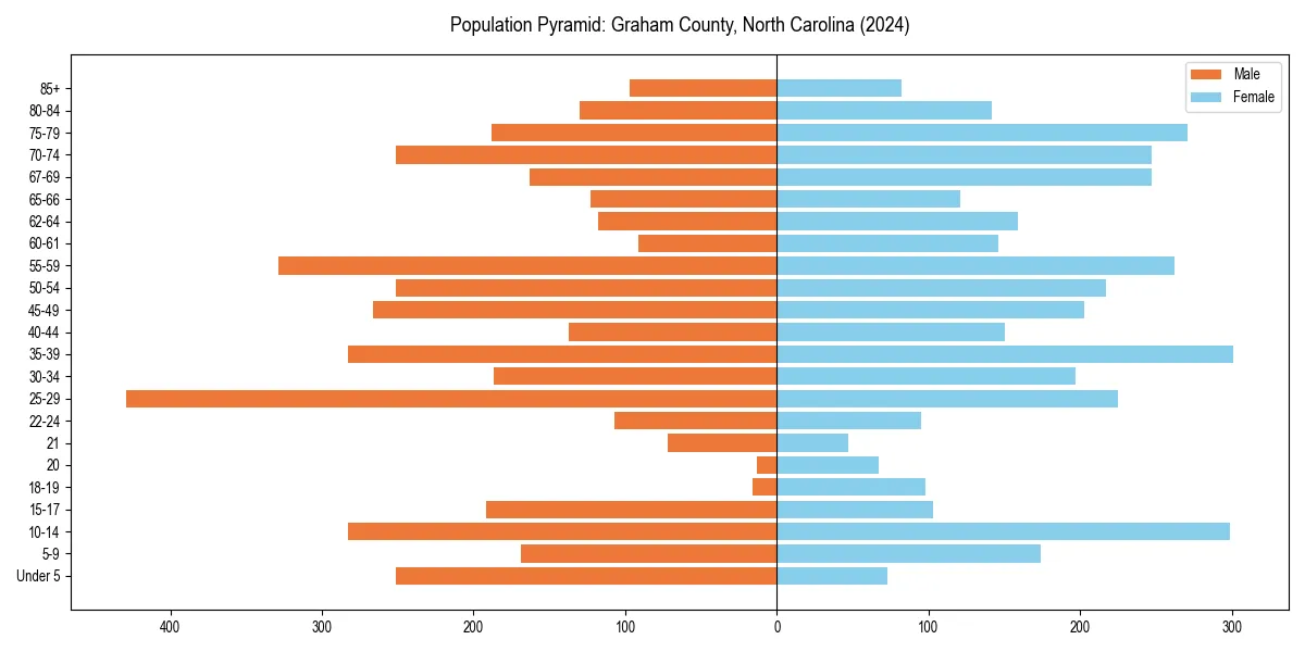 Population pyramid for 