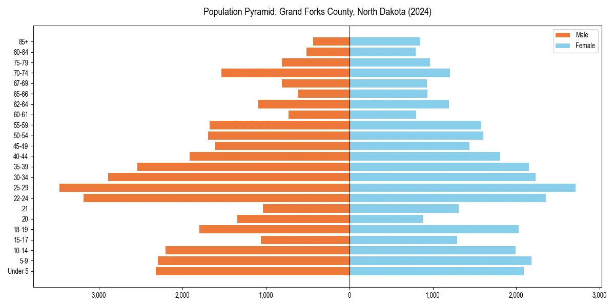 Population pyramid for 