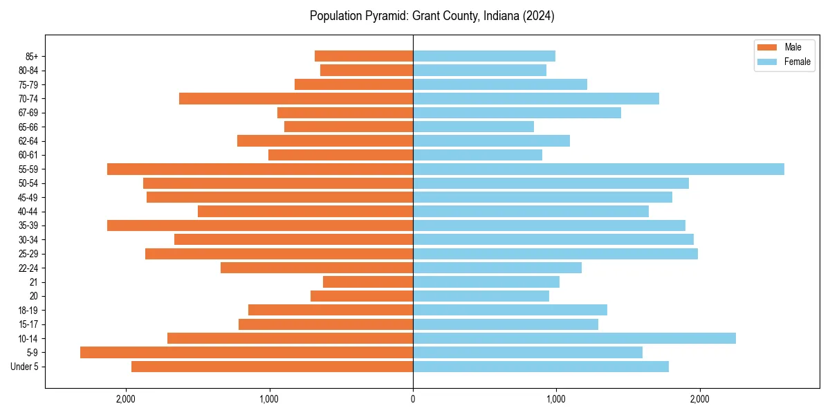 Population pyramid for 