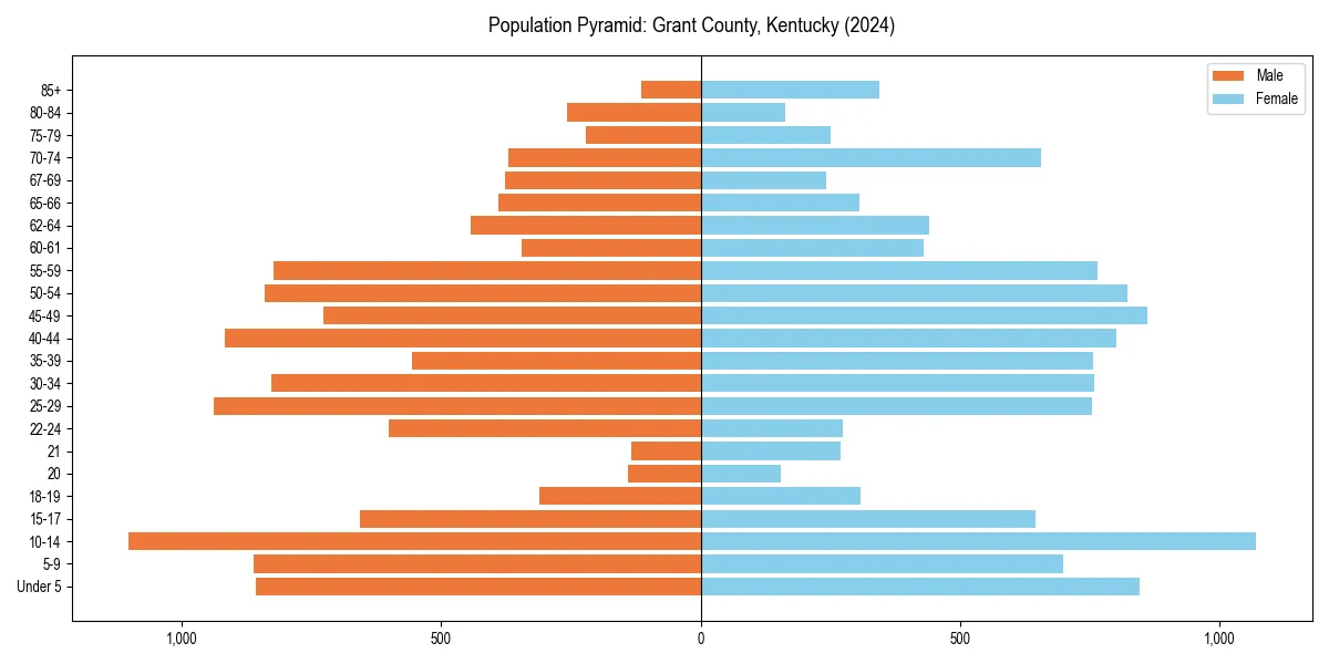 Population pyramid for 