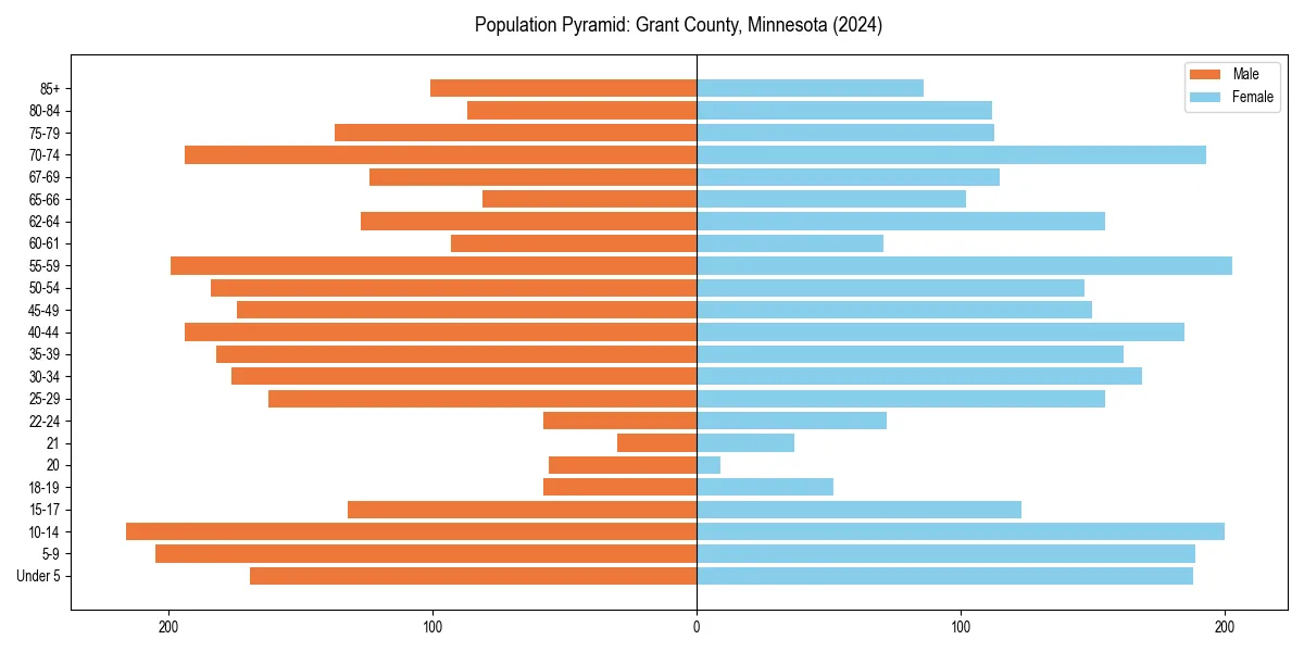 Population pyramid for 