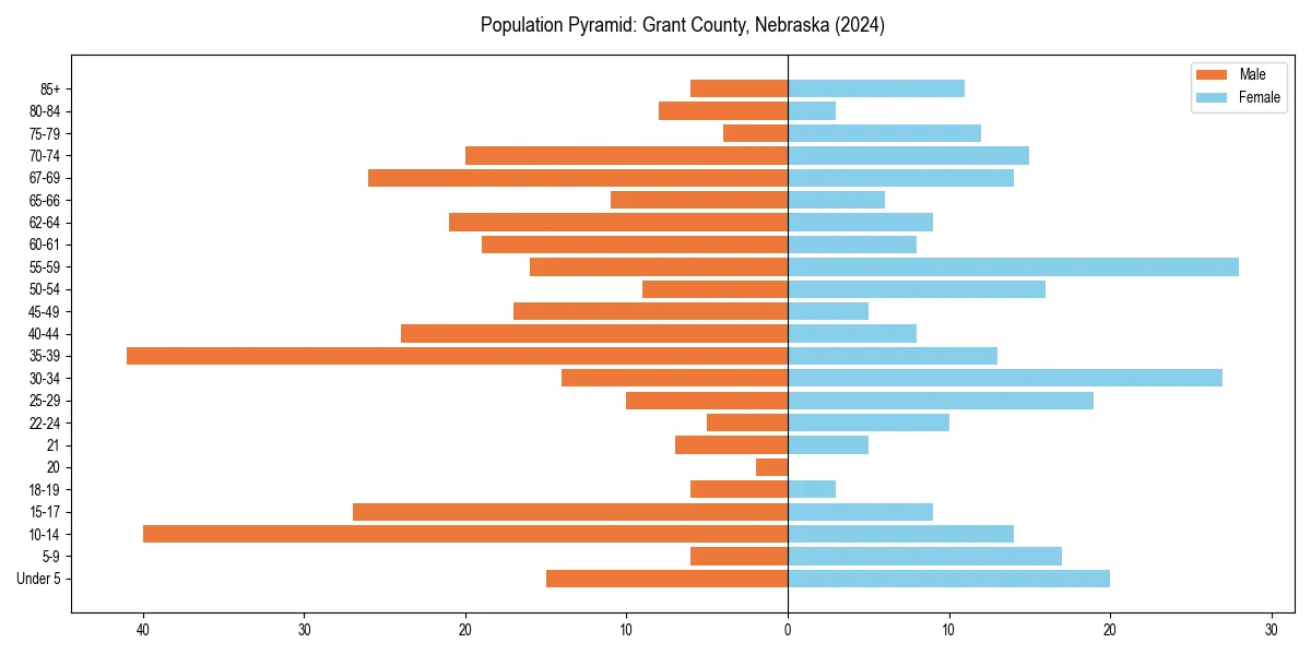 Population pyramid for 