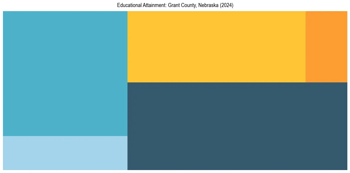 Education Treemap for  in 2024