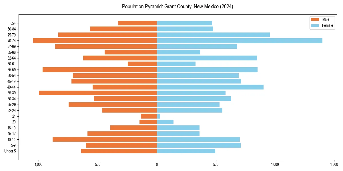 Population pyramid for 