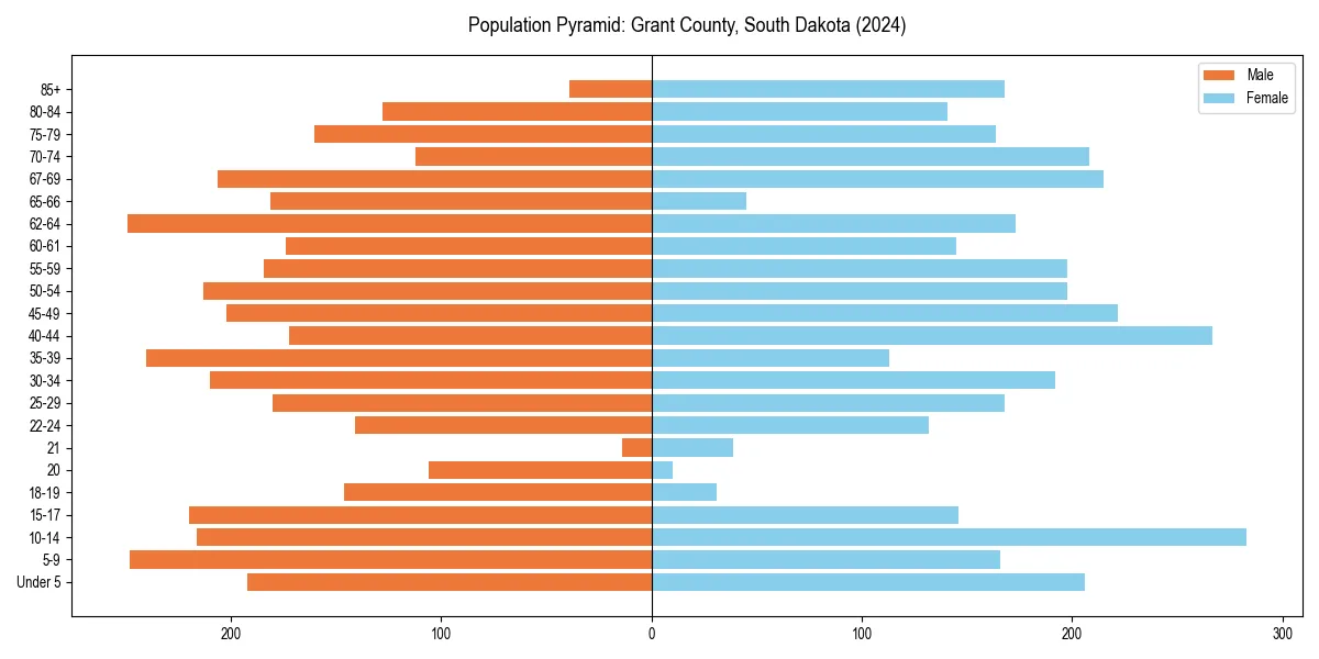Population pyramid for 