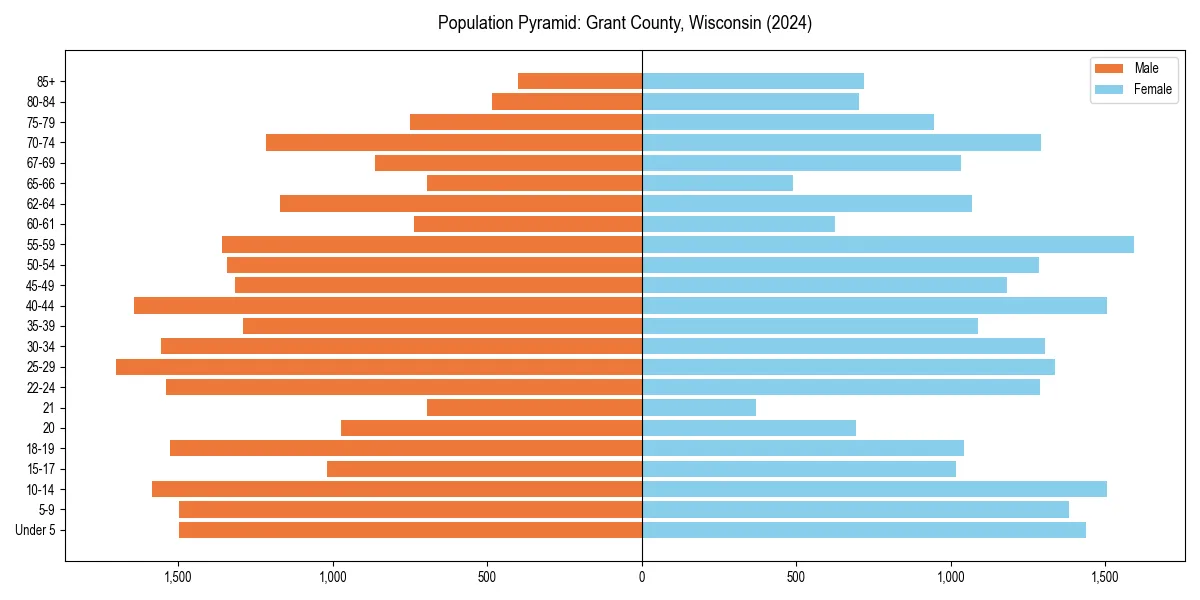 Population pyramid for 
