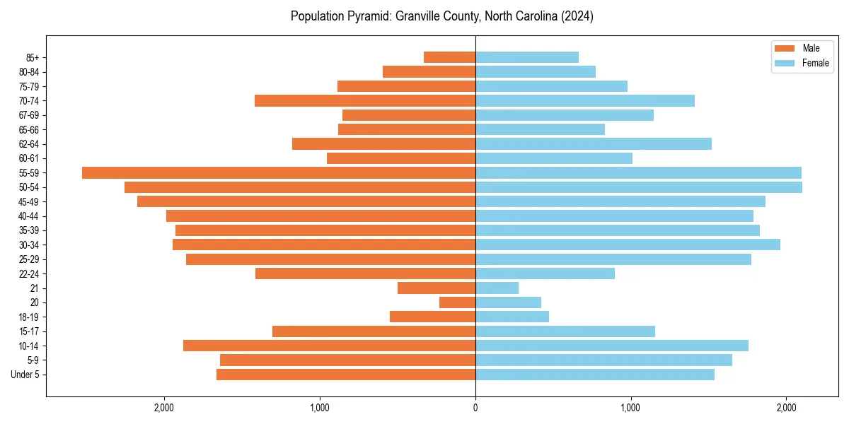 Population pyramid for 