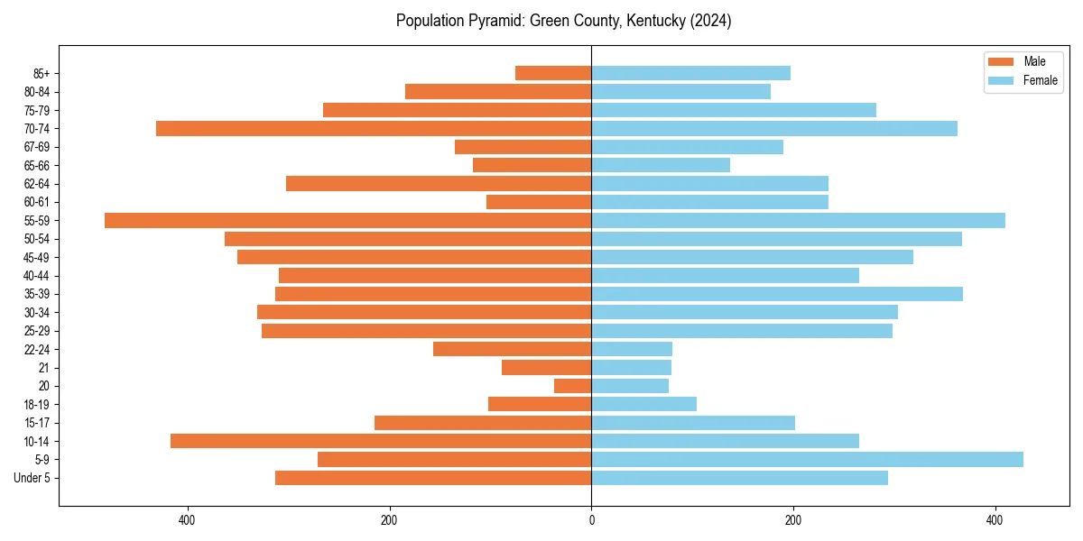 Population pyramid for 