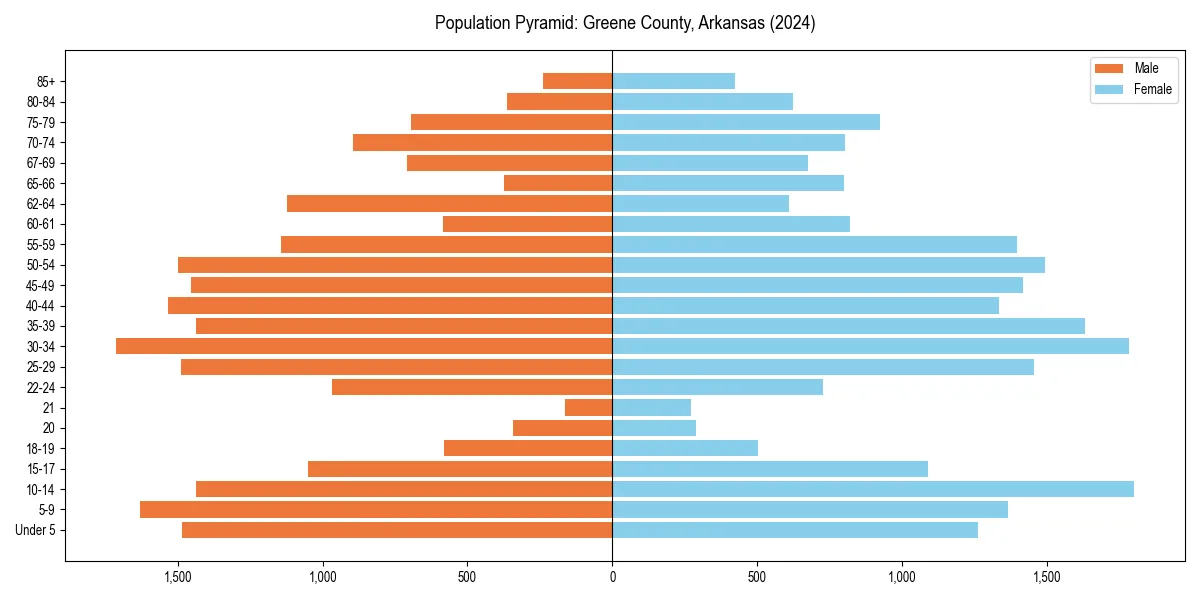 Population pyramid for 