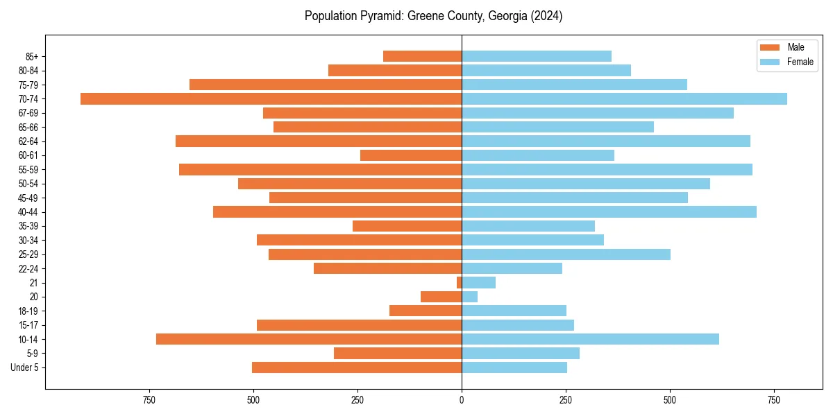 Population pyramid for 