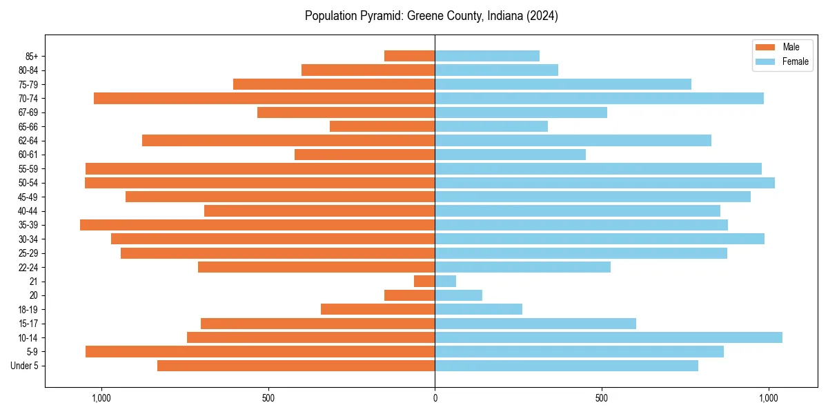 Population pyramid for 