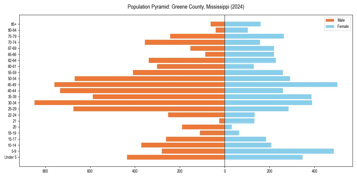 Population pyramid for 